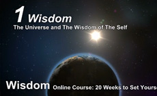 Wisdom The Course Video Introduction